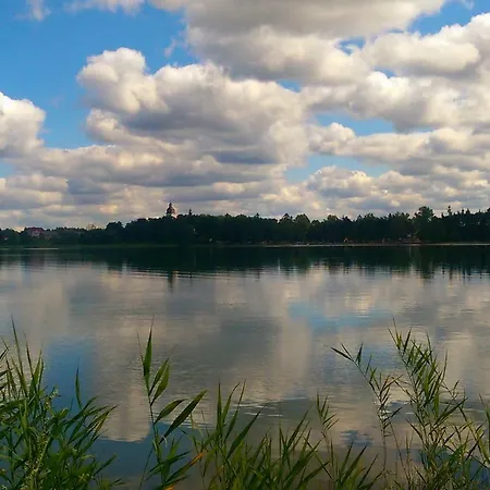 アパート Dominik ビエレ